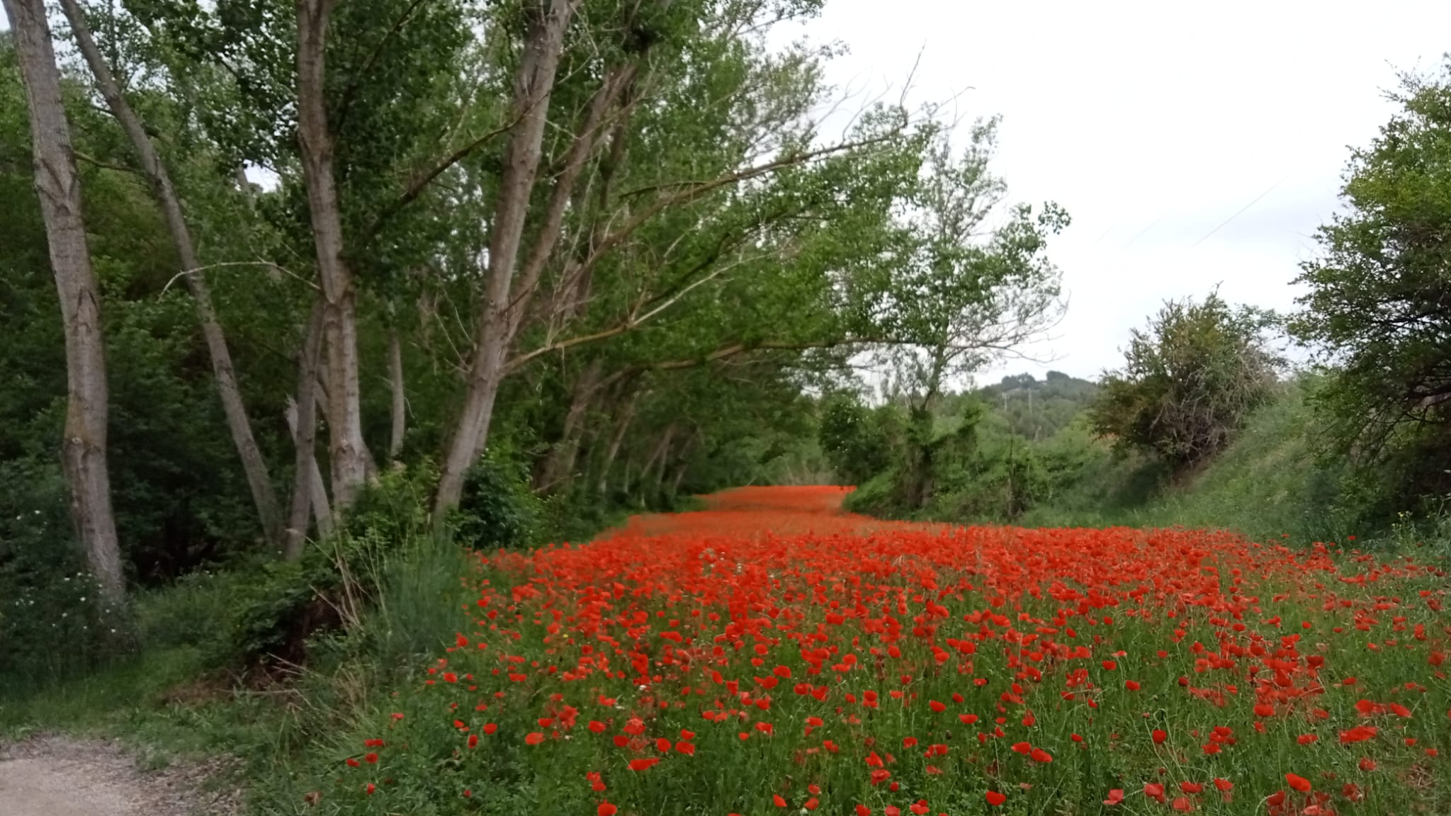 WhatsApp Image 2025-04-12 at 08.53.39 (1)