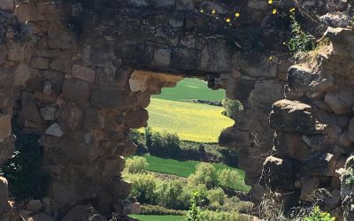 Senderismo, Excursiones y Rutas cercanas